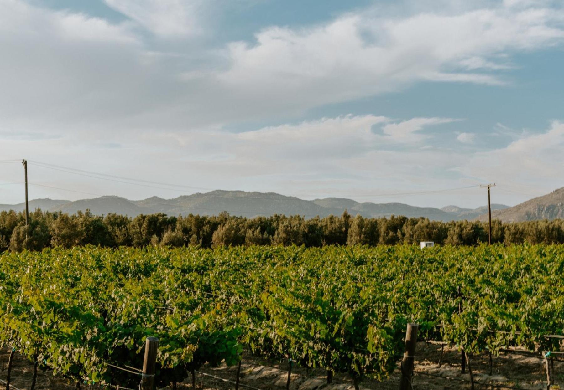 Campera Valle De Guadalupe إنسينادا المظهر الخارجي الصورة