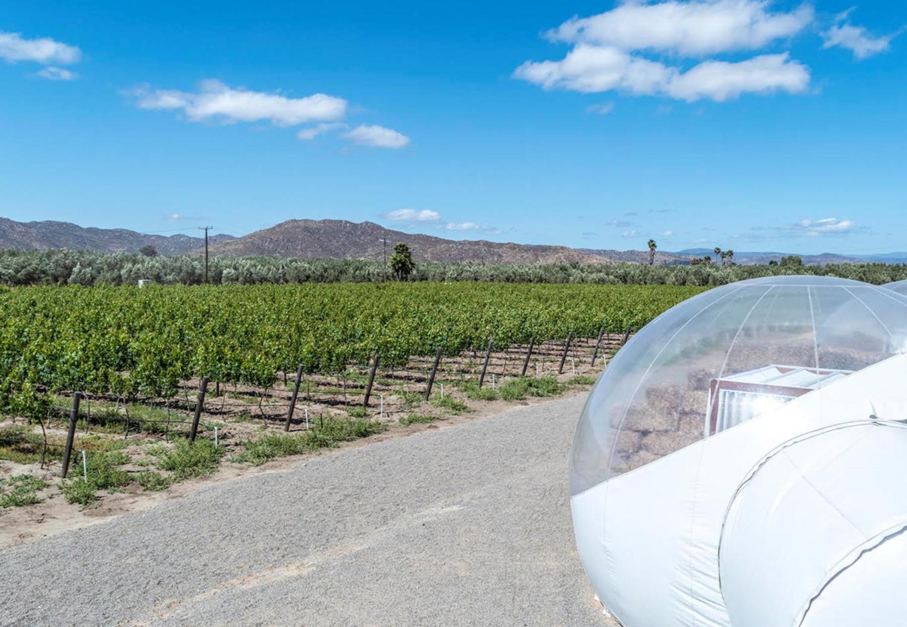 Campera Valle De Guadalupe إنسينادا المظهر الخارجي الصورة