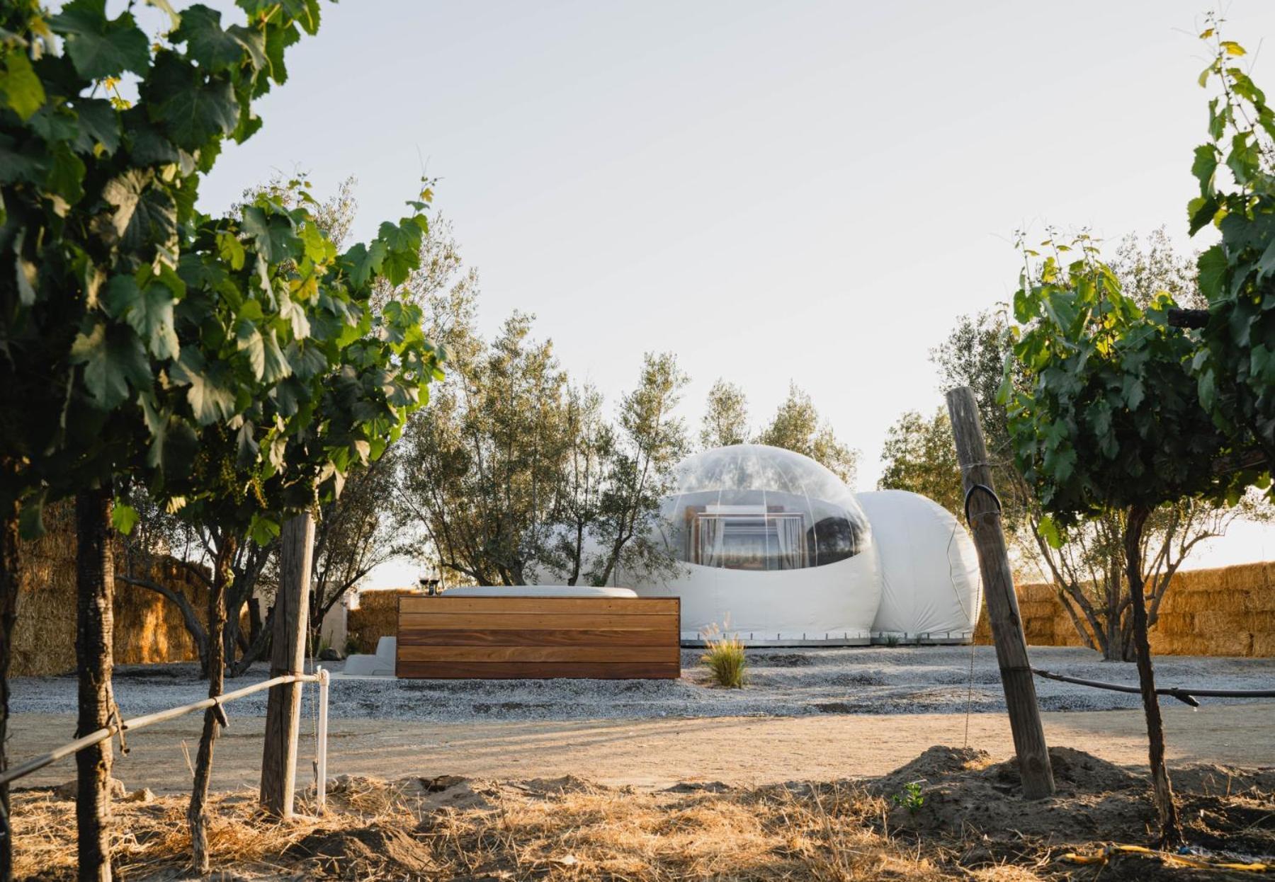 Campera Valle De Guadalupe إنسينادا المظهر الخارجي الصورة