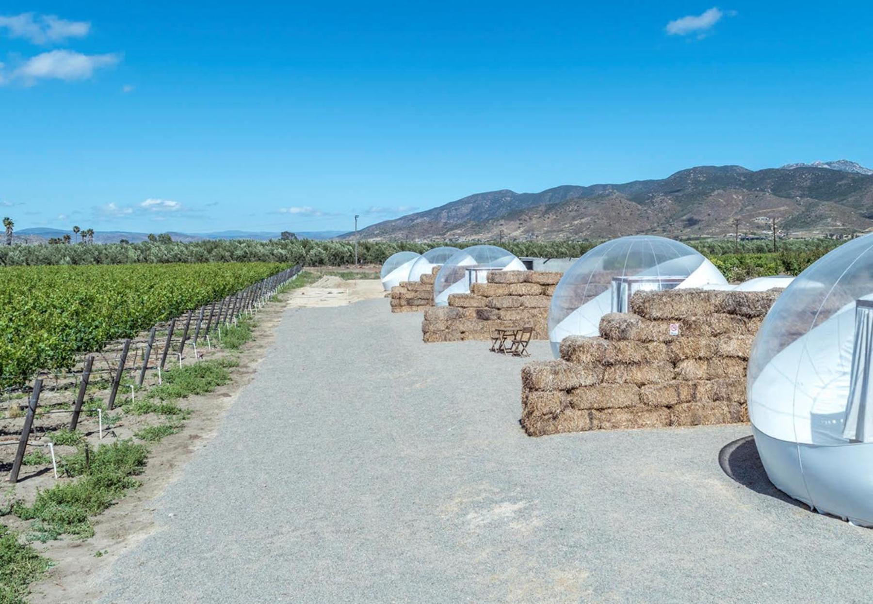 Campera Valle De Guadalupe إنسينادا المظهر الخارجي الصورة